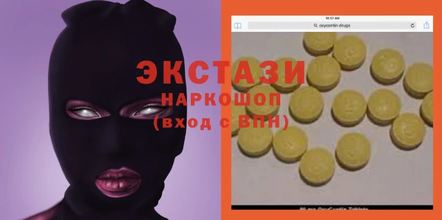 гашик Богданович