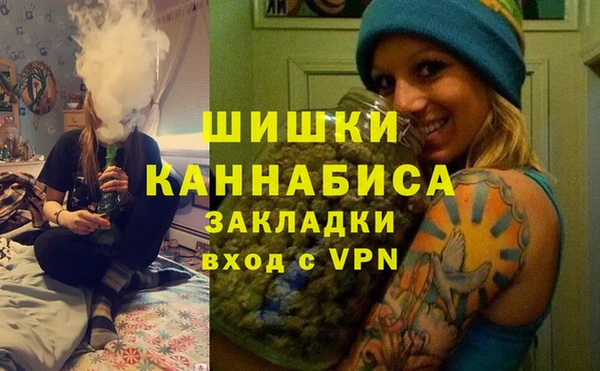 гашик Богданович