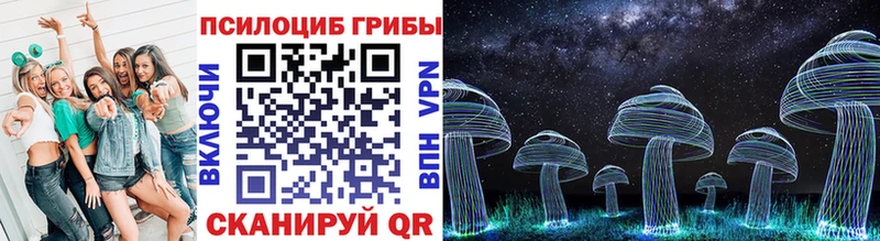 Псилоцибиновые грибы Cubensis  Берёзовка 